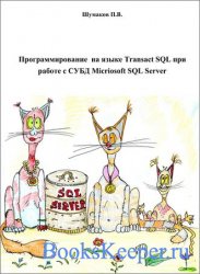    Transact SQL     Micriosoft SQL Server