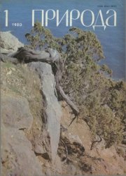 Природа. 1980-1989 гг. (120 номеров)