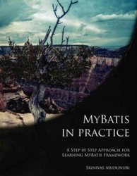 MyBatis in Practice (+code)