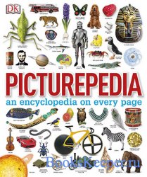Picturepedia: an encyclopedia on every page 