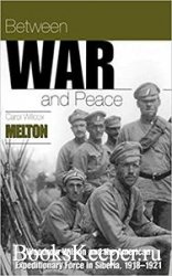 Between War and Peace: Woodrow Wilson and the American Expeditionary Force  ...