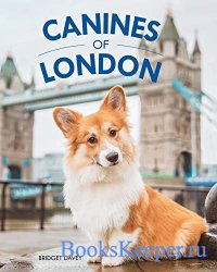 Canines of London (Dog Photography, Dog Lovers Gift)